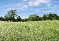 Terrain à Lannion 22300 343m2 43218 € - MLAG-26-01-31-3