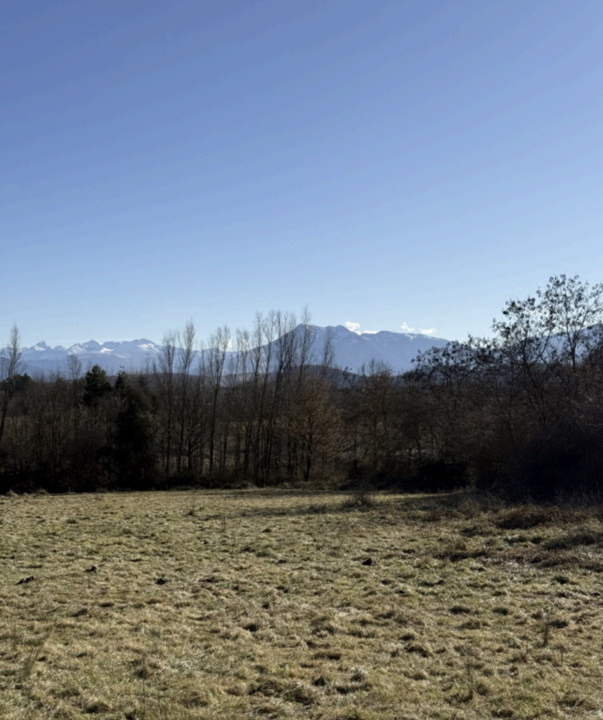 Terrain à Saint-Gaudens 31800 2500m2 55000 € - FRSC-26-03-23-37