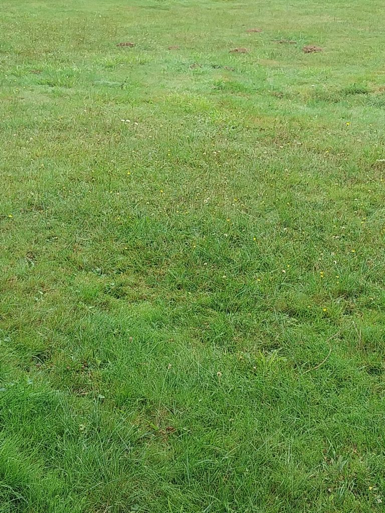 Terrain à Brech 56400 600m2 160000 € - BS-26-01-28-1