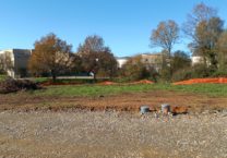 Terrain à Saint-Georges-de-Didonne 17110 295m2 62000 € - BFLR-26-01-28-1