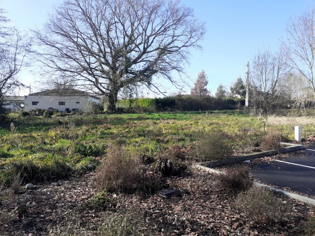 Terrain à Saint-Julien-sur-Garonne 31220 465m2 65000 € - PBRU-26-02-02-20