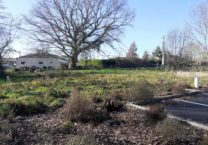 Terrain à Saint-Julien-sur-Garonne 31220 465m2 65000 € - PBRU-26-02-02-20