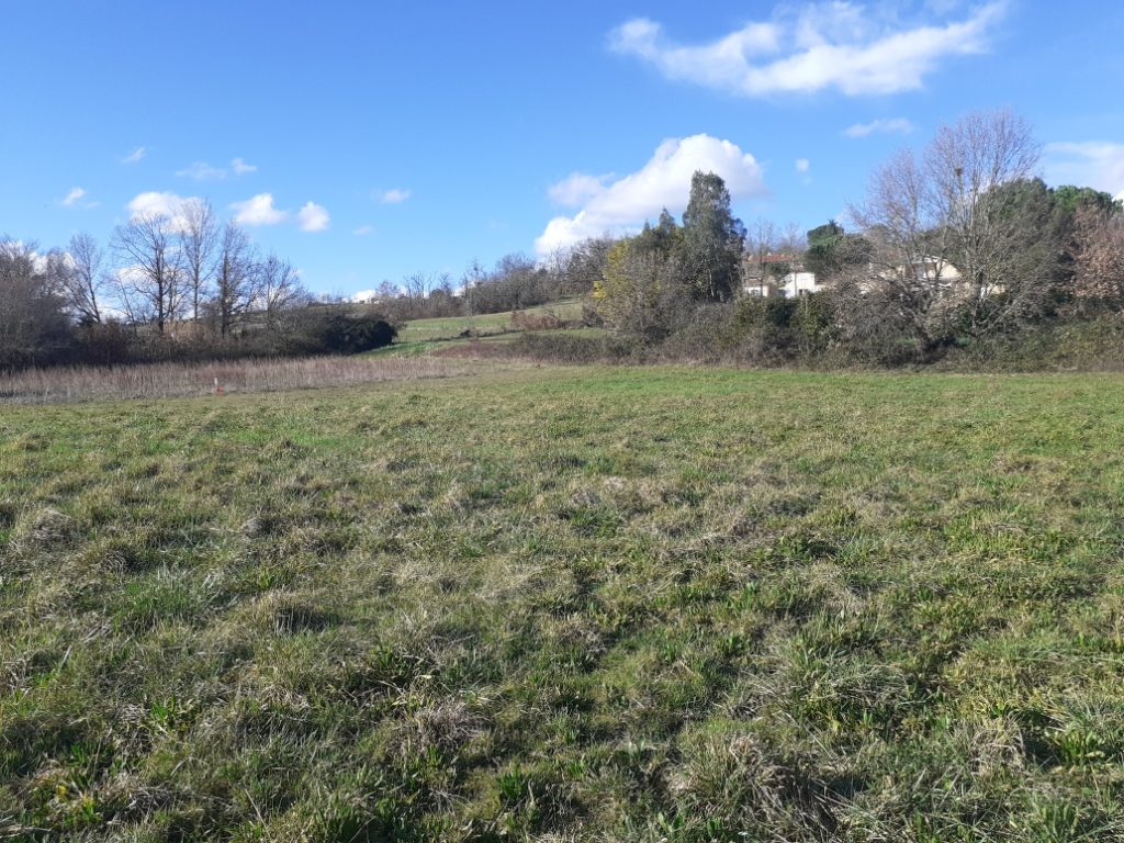 Terrain à Giroussens 81500 740m2 65000 € - PBRU-26-02-09-1