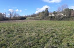 Terrain à Giroussens 81500 740m2 65000 € - PBRU-26-03-30-50