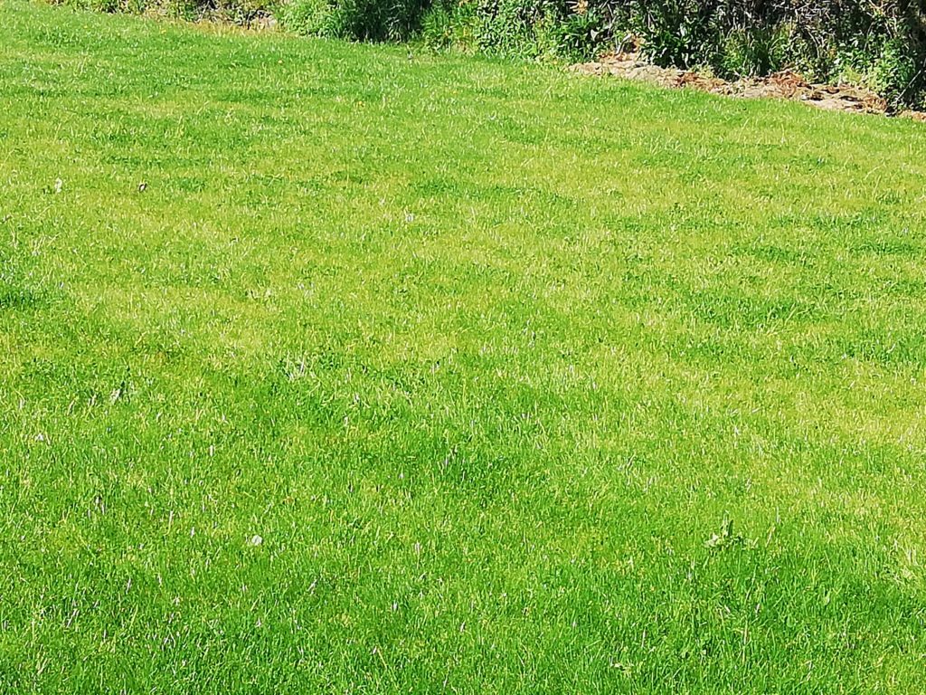 Terrain à Saint-Alban 22400 400m2 92000 € - YLM-26-02-12-1