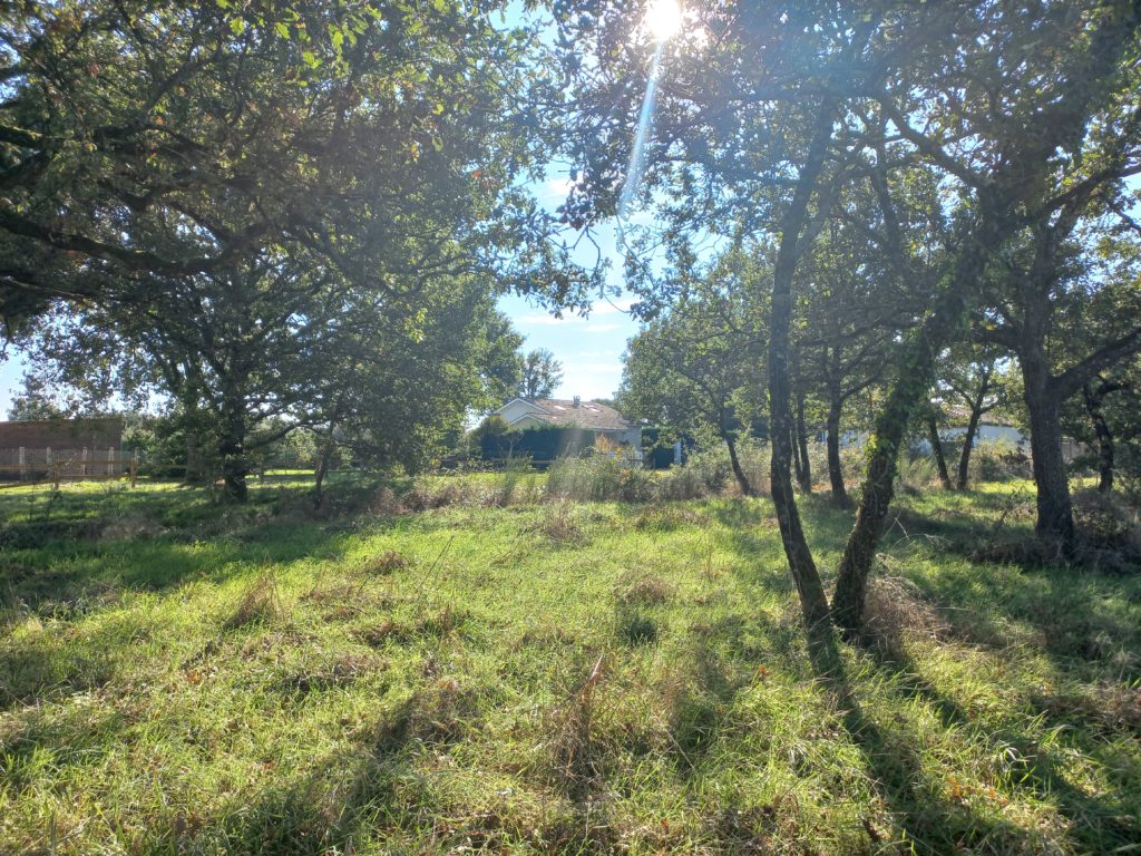 Terrain à LARRA 31330 820m2 115000 € - PBRU-26-02-23-16