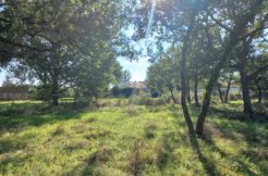 Terrain à LARRA 31330 820m2 115000 € - PBRU-26-04-06-1