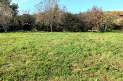 Terrain à Saint-Jory 31790 548m2 132050 € - PBRU-26-03-30-22