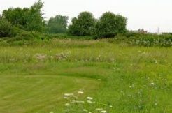 Terrain à Paimpol 22500 795m2 120000 € - MLAG-26-03-24-2