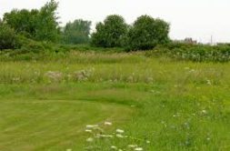 Terrain à Paimpol 22500 795m2 120000 € - MLAG-26-03-24-2