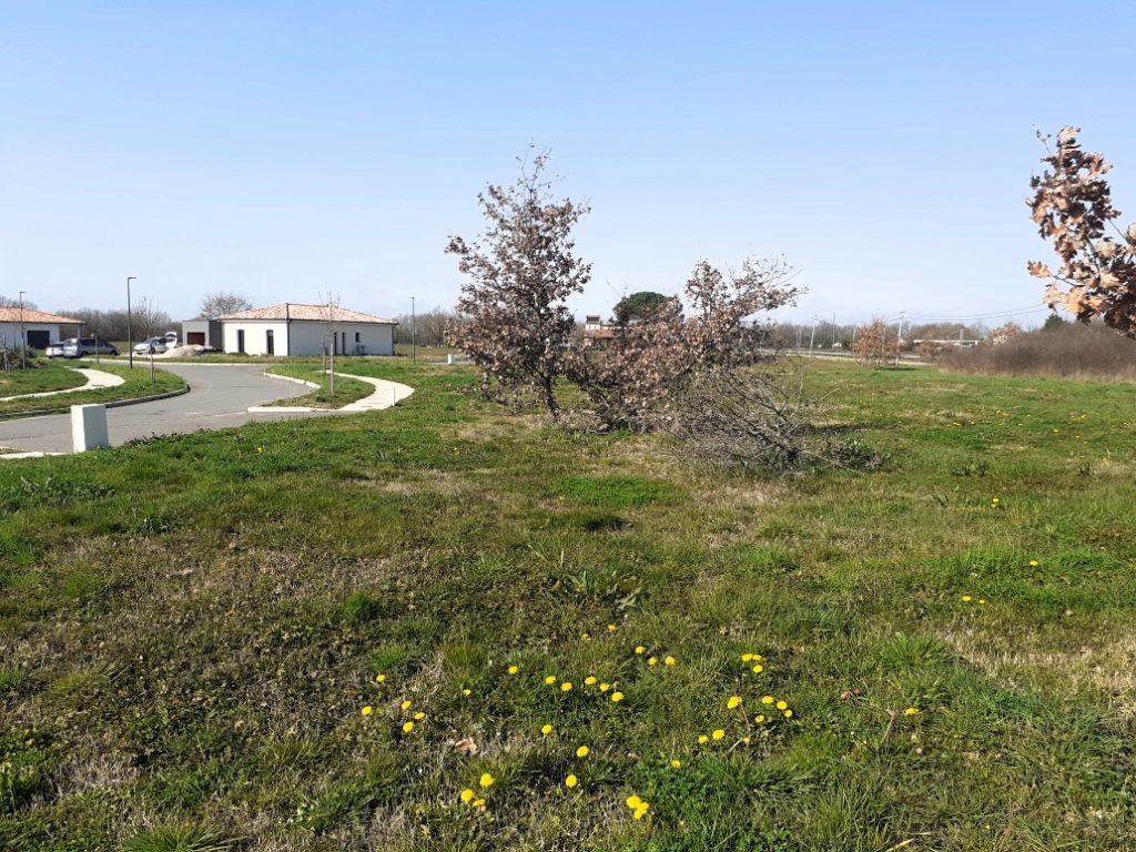 Terrain à Montbeton 82290 649m2 59900 € - PBRU-26-04-06-11