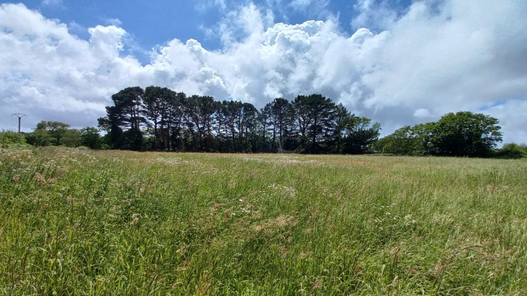 Terrain à Quimper 29000 3000m2 160000 € - DPAS-26-03-04-1