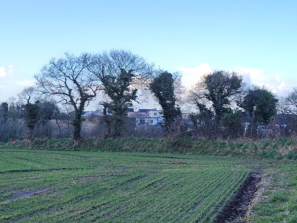 Terrain à Bourg-Blanc 29860 431m2 68000 € - PBE-26-03-06-32