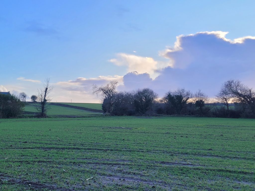 Terrain à Bourg-Blanc 29860 425m2 70000 € - PBE-26-03-06-33