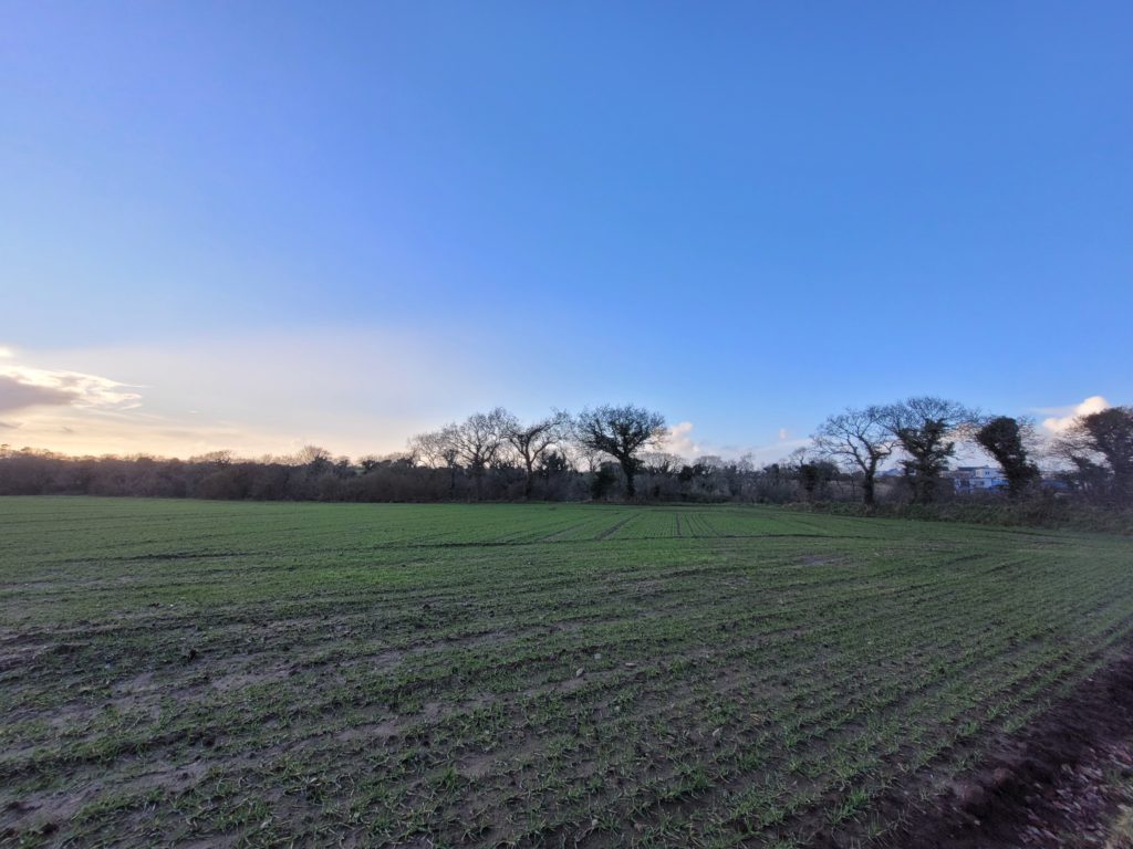 Terrain à Bourg-Blanc 29860 444m2 79000 € - PBE-26-03-06-35