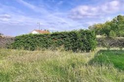 Terrain à Plestin-les-Greves 22310 378m2 43092 € - MLAG-26-03-24-1