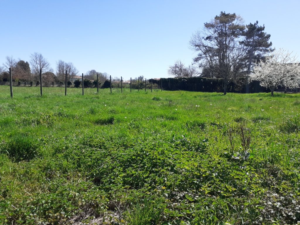 Terrain à Finhan 82700 691m2 52000 € - PBRU-26-03-23-50