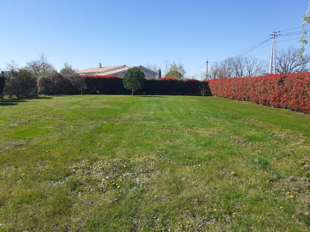 Terrain à Montbeton 82290 1000m2 73000 € - PBRU-26-03-23-1
