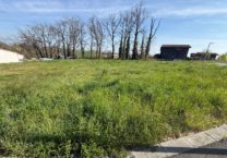 Terrain à LASGRAISSE 81300 554m2 42900 € - SAET-26-06-15-48