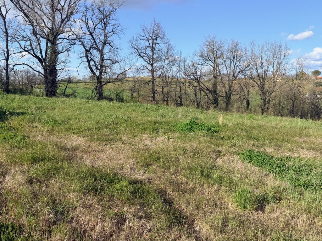 Terrain à LASGRAISSE 81300 554m2 42900 € - SAET-26-06-15-48