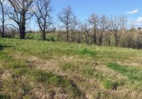 Terrain à LASGRAISSE 81300 554m2 42900 € - SAET-26-06-15-48
