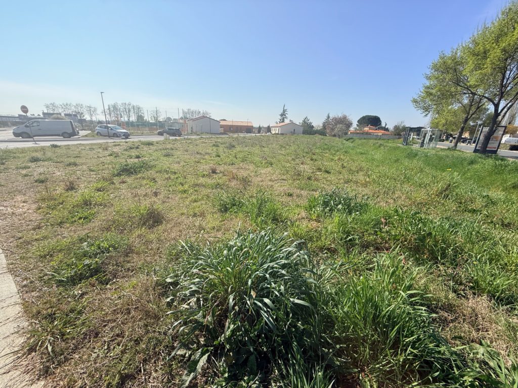 Terrain à Lescure-d&rsquo;Albigeois 81380 496m2 54500 € - SAET-26-06-29-29