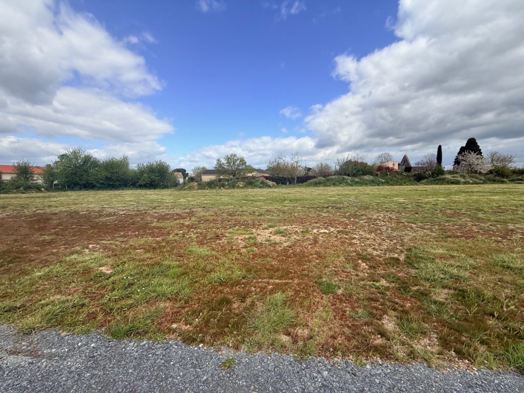 Terrain à Tecou 81600 805m2 59000 € - SAET-26-06-22-45