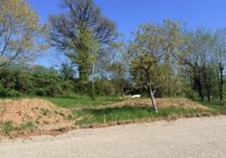Terrain à Albi 81000 604m2 75000 € - SAET-26-06-22-36