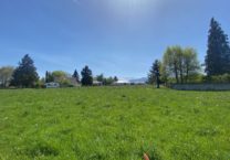 Terrain à Bagneres-de-Bigorre 65200 1040m2 55000 € - PHPA-26-04-24-2