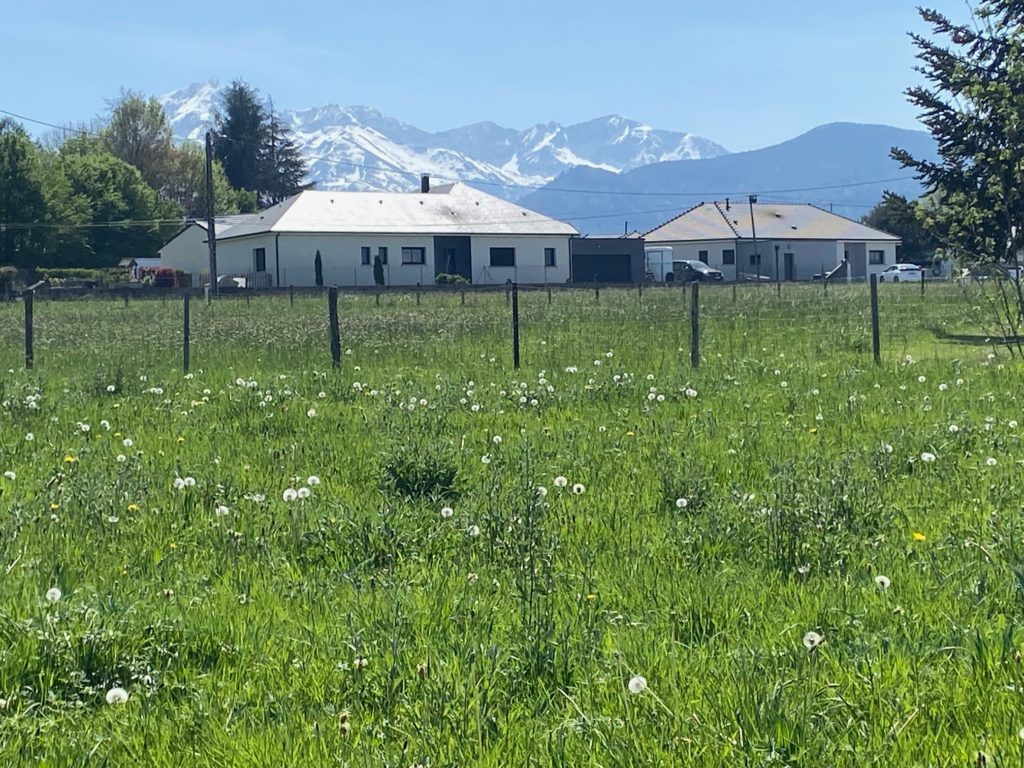 Terrain à Bagneres-de-Bigorre 65200 1040m2 55000 € - PHPA-26-04-24-2