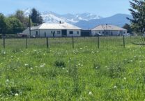 Terrain à Bagneres-de-Bigorre 65200 1040m2 55000 € - PHPA-26-04-24-2