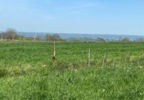 Terrain à Bagneres-de-Bigorre 65200 1040m2 55000 € - PHPA-26-04-24-2