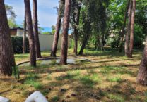 Terrain à La-Tremblade 17390 707m2 249000 € - OLNA-26-04-28-1