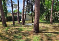 Terrain à La-Tremblade 17390 707m2 249000 € - OLNA-26-04-28-1