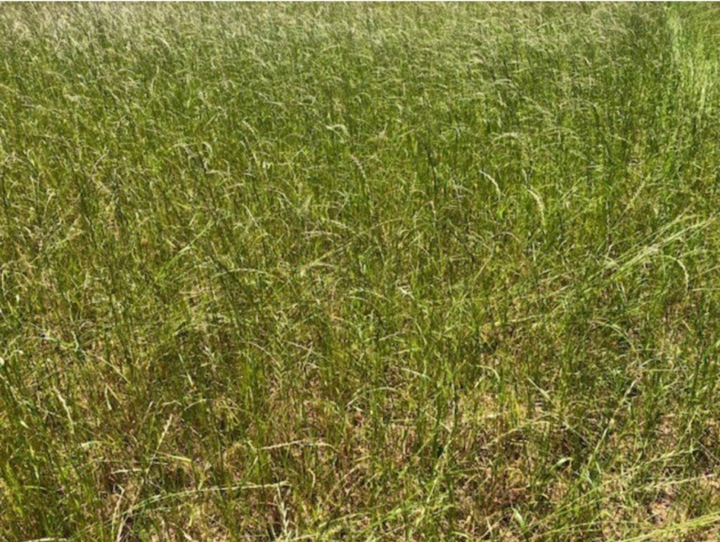 Terrain à Plomelin 29700 534m2 75000 € - MBE-26-06-23-2