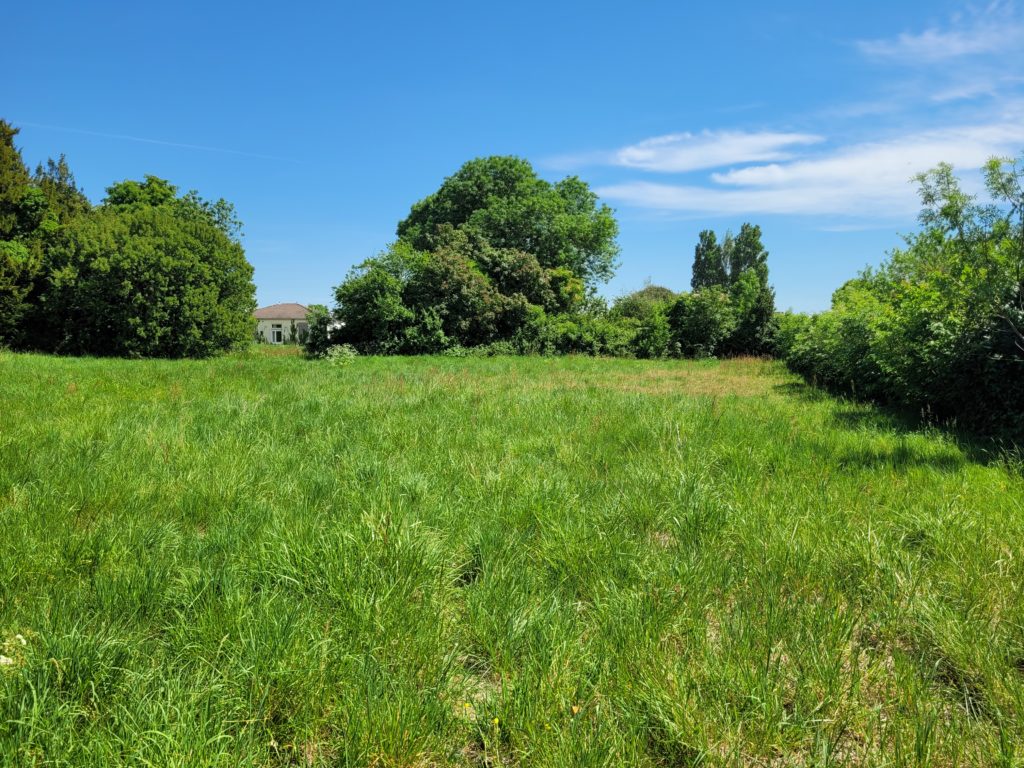 Terrain à Arvert 17530 632m2 164900 € - OLNA-26-04-29-6