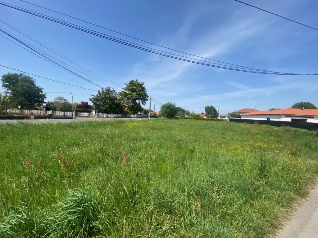 Terrain à ANDREST 65390 2180m2 50200 € - PHPA-26-06-01-38