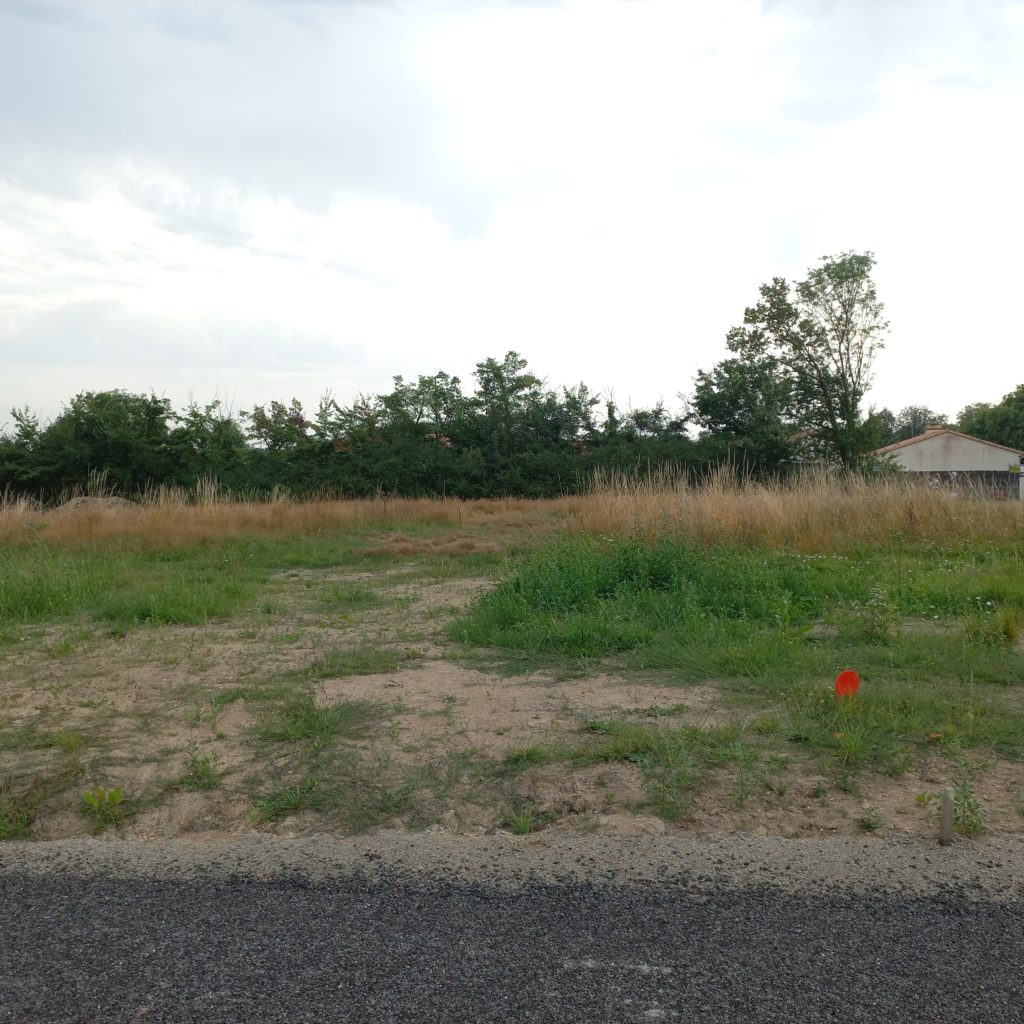 Terrain à Les-Mathes 17570 400m2 110000 € - BFLR-26-05-07-12