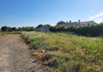 Terrain à Dolus-d&rsquo;Oleron 17550 156m2 89000 € - OLNA-26-05-22-1