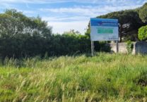 Terrain à Dolus-d&rsquo;Oleron 17550 138m2 79900 € - OLNA-26-05-22-2
