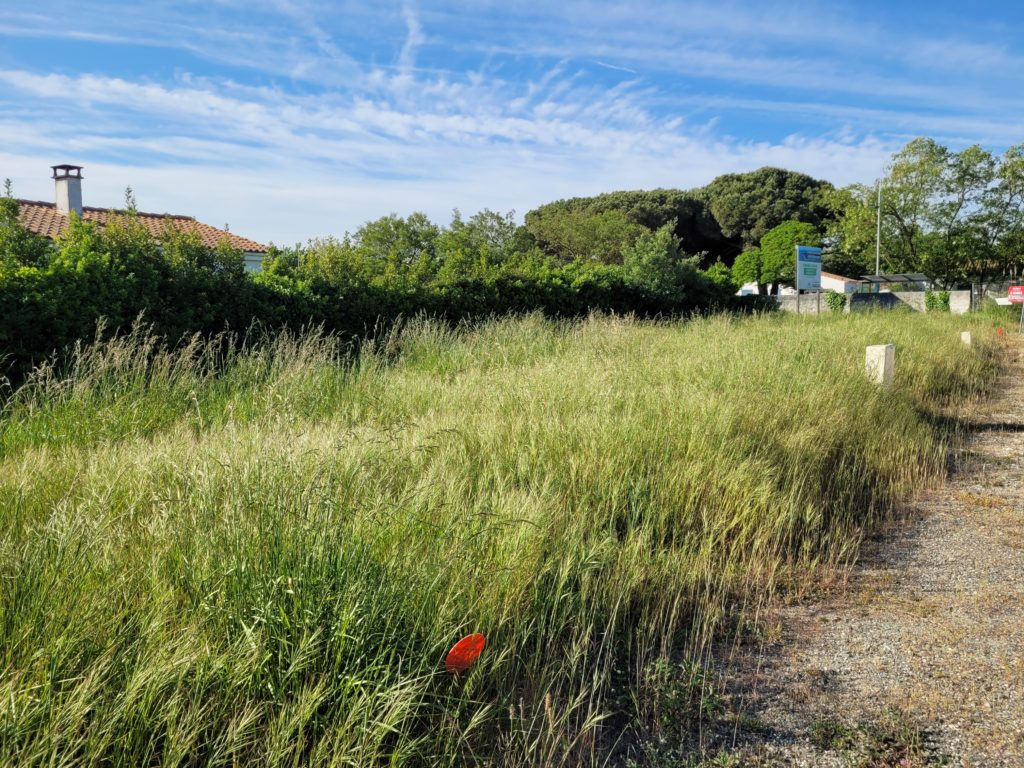 Terrain à Dolus-d&rsquo;Oleron 17550 138m2 79900 € - OLNA-26-05-22-2