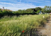 Terrain à Dolus-d&rsquo;Oleron 17550 138m2 79900 € - OLNA-26-05-22-2