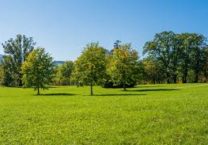 Terrain à Camlez 22450 386m2 34400 € - MLAG-26-06-11-1