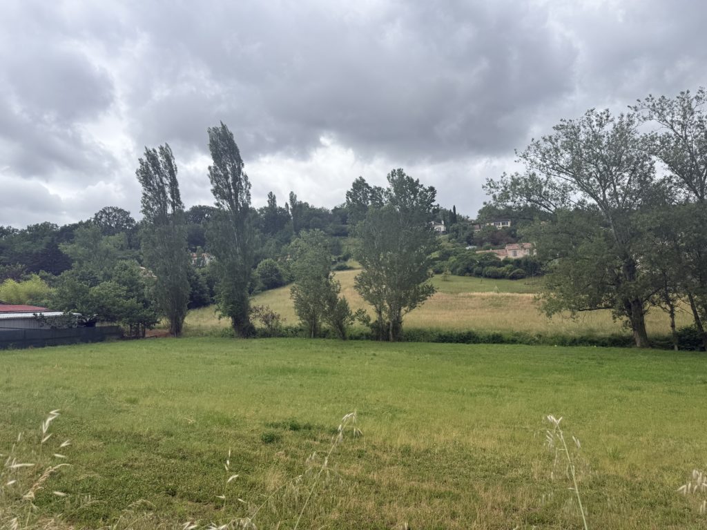 Terrain à Puygouzon 81990 2550m2 100000 € - SAET-26-06-15-28