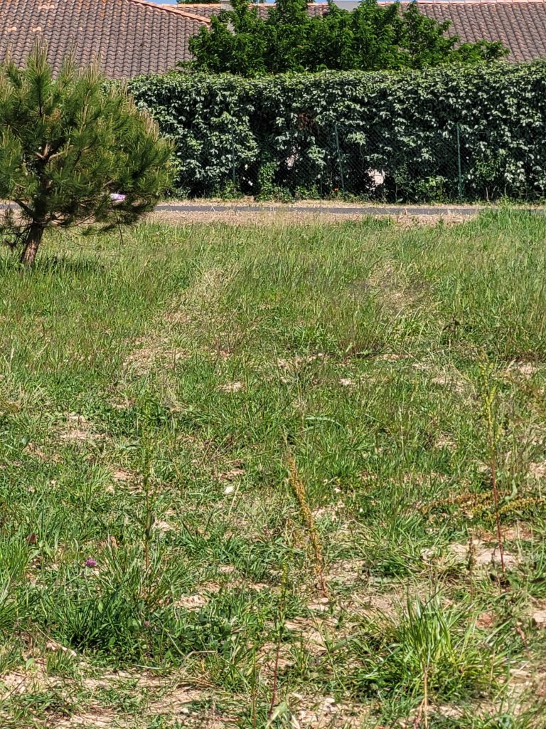 Terrain à Saint-Palais-sur-Mer 17420 480m2 299000 € - OLNA-26-06-29-1
