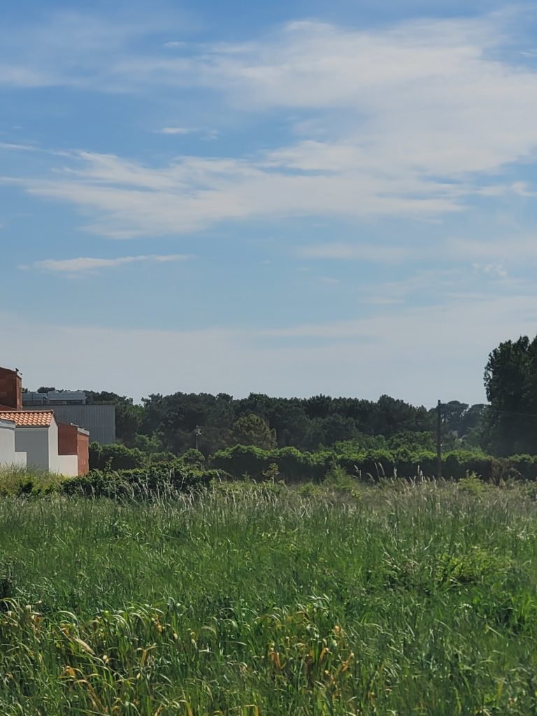 Terrain à Saint-Palais-sur-Mer 17420 347m2 185000 € - OLNA-26-06-29-4