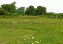 Terrain à Perros-Guirec 22700 450m2 120000 € - MLAG-26-07-14-1