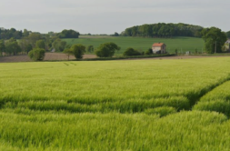 Terrain à Pleudihen-sur-Rance 22690 220m2 44000 € - BONE-26-08-04-14