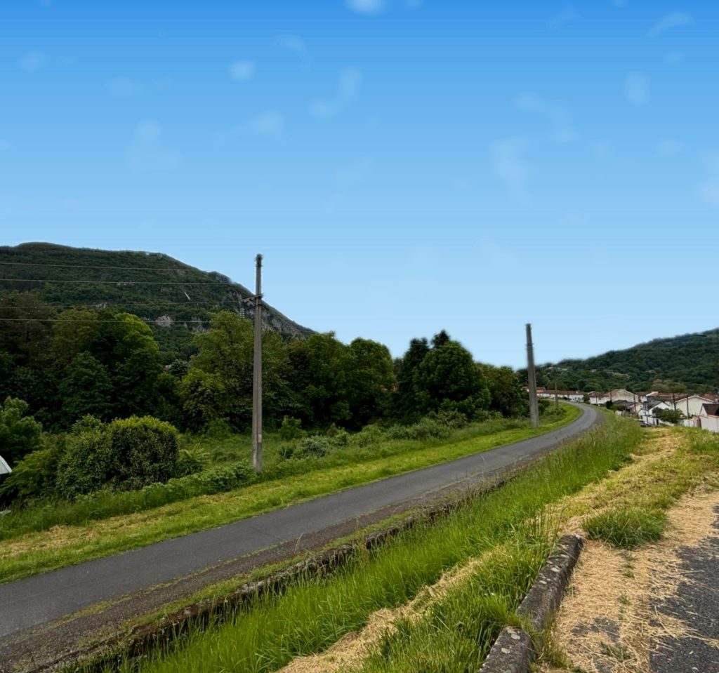 Terrain à LOURDES 65100 3876m2 110000 € - PHPA-26-08-03-45