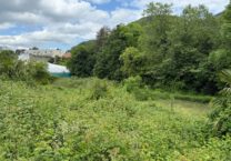 Terrain à LOURDES 65100 3876m2 110000 € - PHPA-26-08-03-45